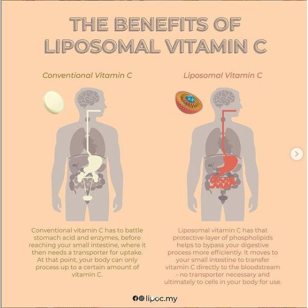 FG LIPO C Liposomal Vitamin C Botanical Drink Malaysia Non Soy Great Absorbtion Non Alcohol NARINAR
