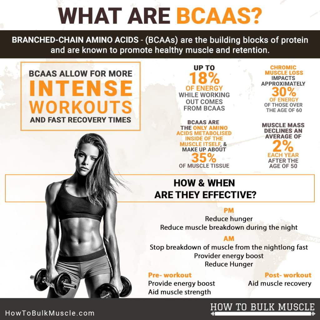 [AGYM NUTRITION] BCAA 2:1:1 100% Pure Unflavoured GREAT MUSCLE