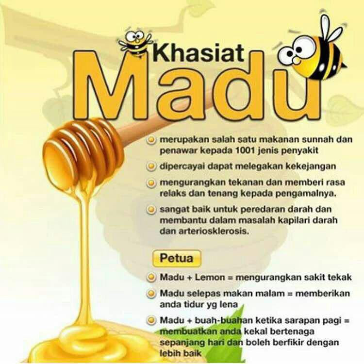[YOUNG BEES] MADU TROPIKA Madu Hutan Tropika Asli Sumatera Premium Honey