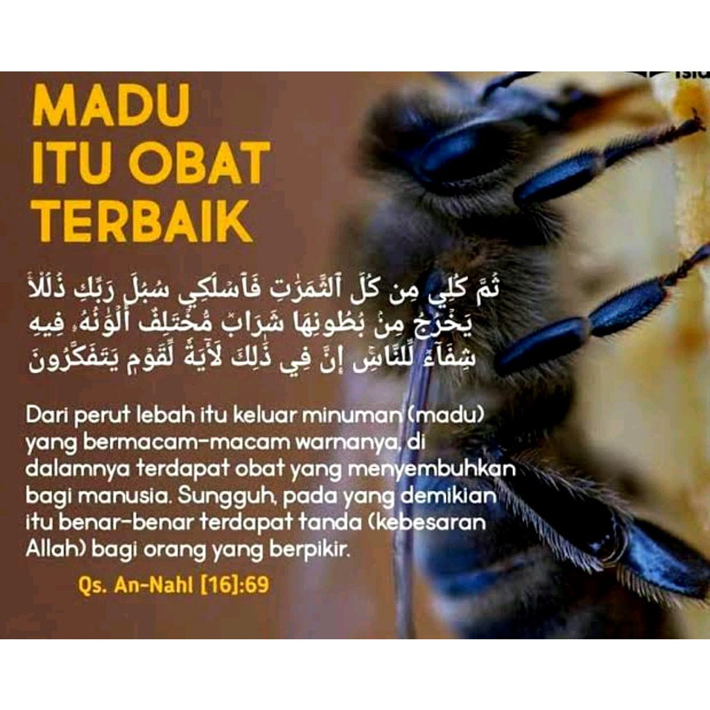 [YOUNG BEES] MADU TROPIKA Madu Hutan Tropika Asli Sumatera Premium Honey