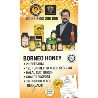 [YOUNG BEES] PREMIUM MADU BORNEO ASIA Pure Honey Madu Asli | Tropika | Tualang | Lingzhi | Batok