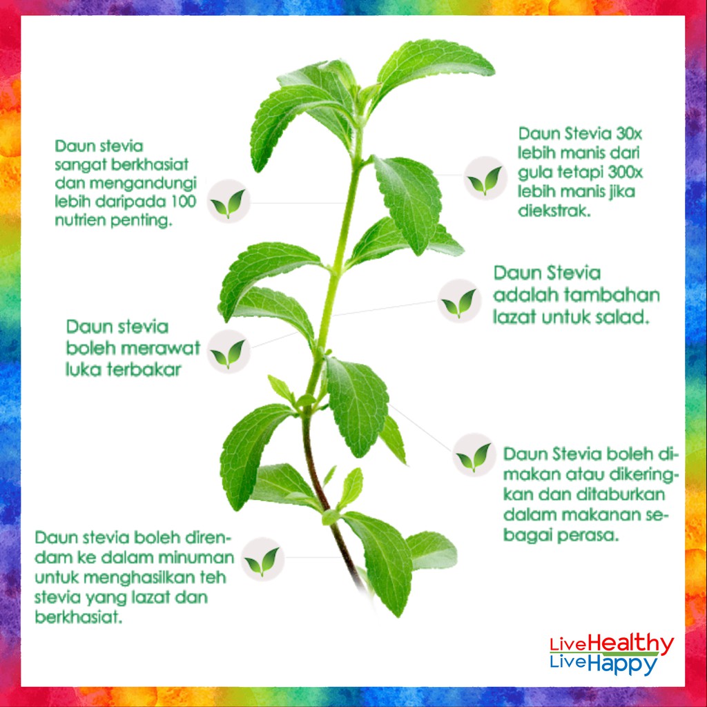 [D'CARE] Dcare Stevia 10ml 100% Natural No Calories No bad aftertaste Sedap Pemanis Ganti Gula
