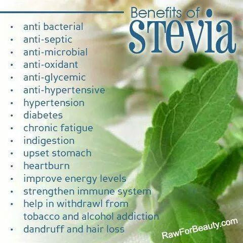 [HALAL2U] Stevia 30mL drops Pure Sweetener Pemanis Tulen Zero Calorie Rebaudiana diabetes