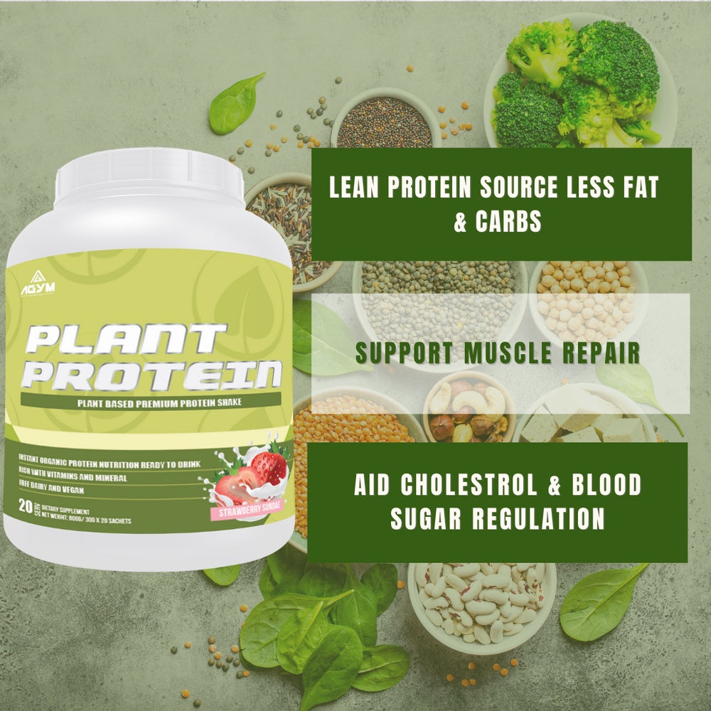 [AGYM NUTRITION] Premium Plant Protein 100% Vegan Halal 600g Strawberry Post Workout