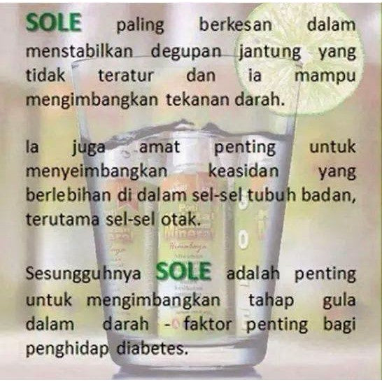 [QASEH GOLD] Kristal Sole Pati Garam Kristal Mineral Himalaya by Ana Edar