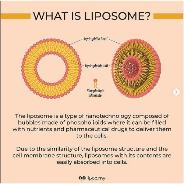 FG LIPO C Liposomal Vitamin C Botanical Drink Malaysia Non Soy Great Absorbtion Non Alcohol NARINAR
