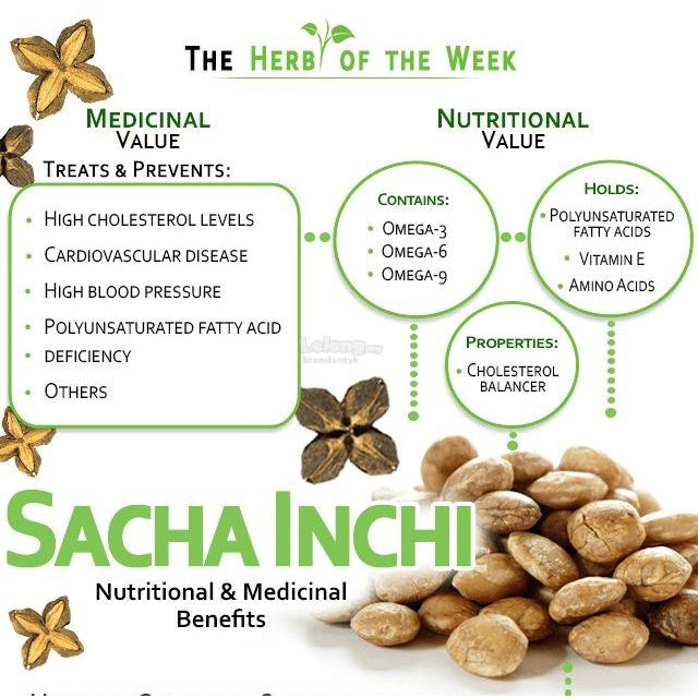 [ZEMVELO] Sacha Inchi Oil 520mg 120's Softgel More Value