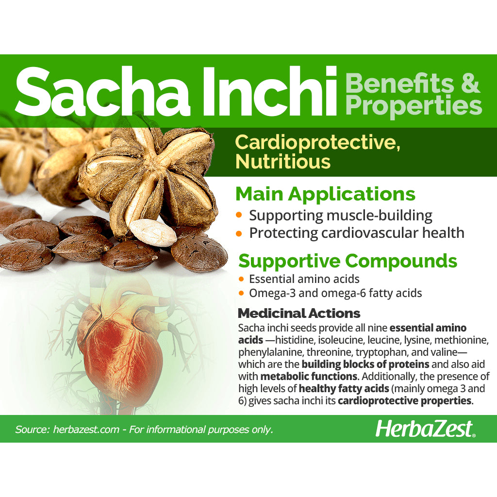 [INCHANICS]  Sacha Inchi Oil KKM APPROVED Hologram (3 x 60 Biji Softgel)