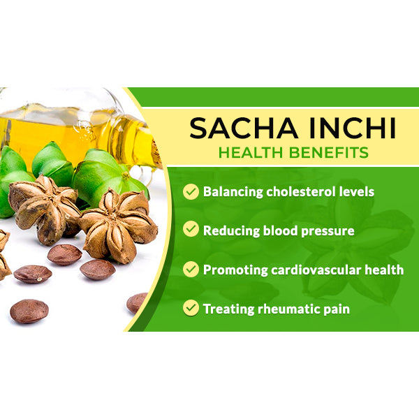 [INCHANICS]  Sacha Inchi Oil KKM APPROVED Hologram (3 x 60 Biji Softgel)