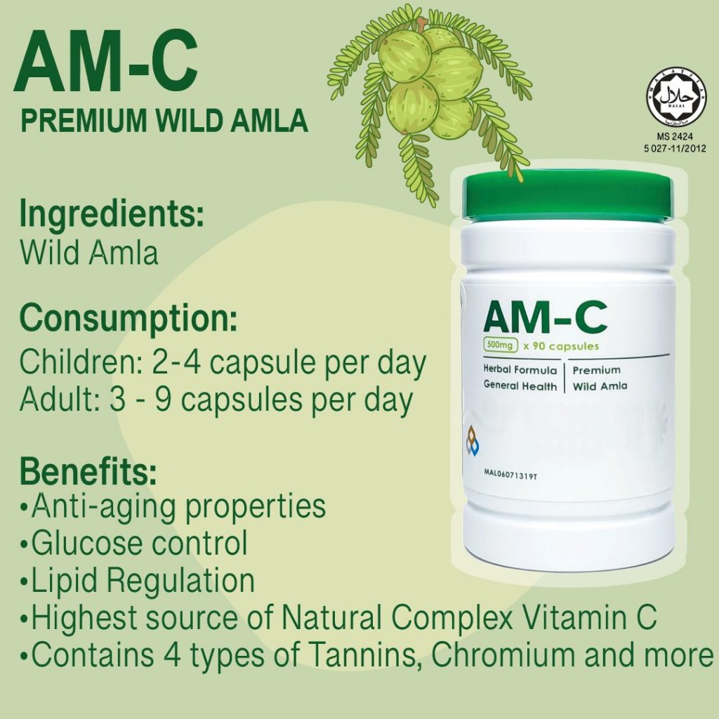 [THIALLAN] AM-C VINS AMC Premium Amla C Natural Rich with Vitamin C from Wild Amla 90 capsules