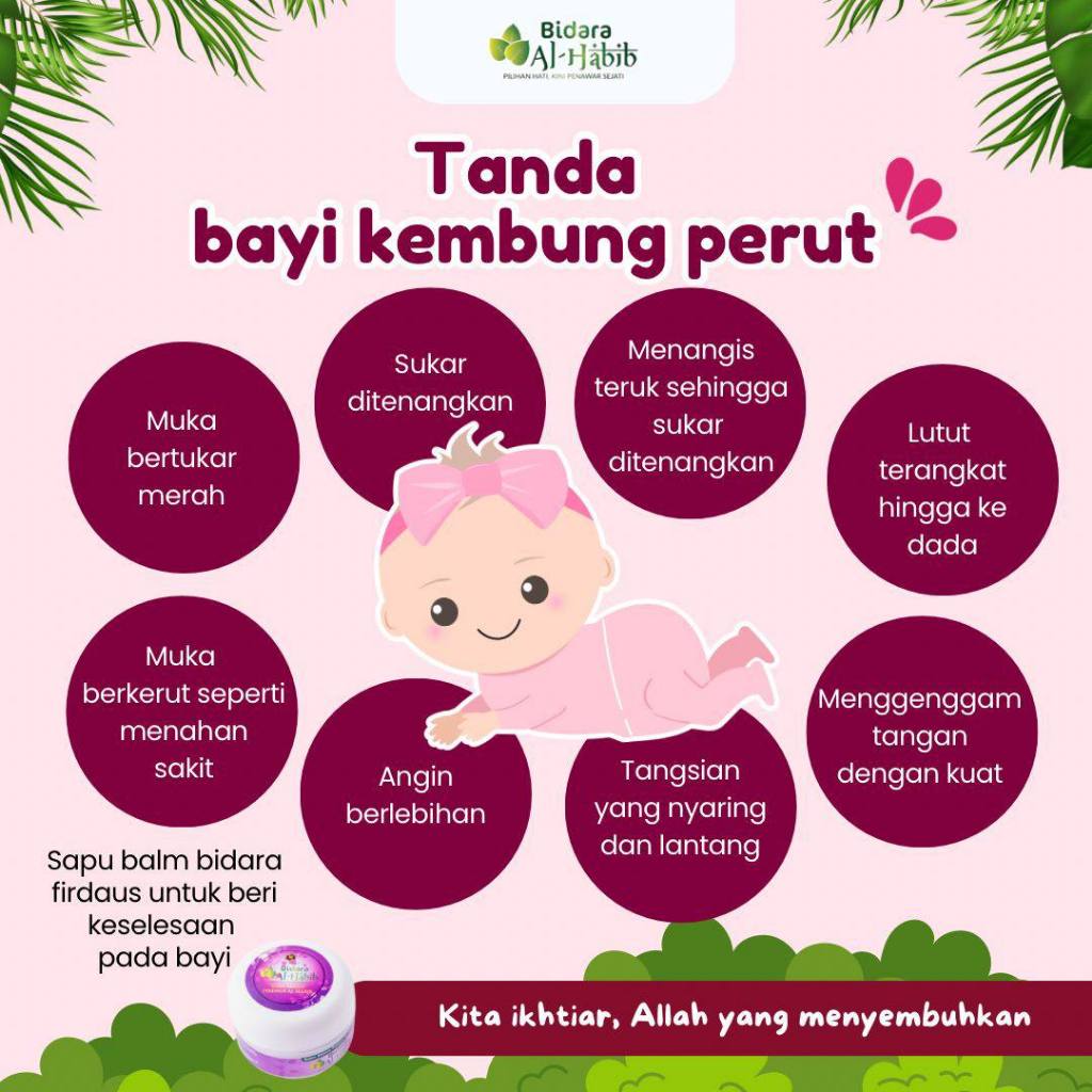 [BIDARA AL-HABIB] Balm Bidara Habbatus Sauda | Balm Bidara Firdaus Alhabib