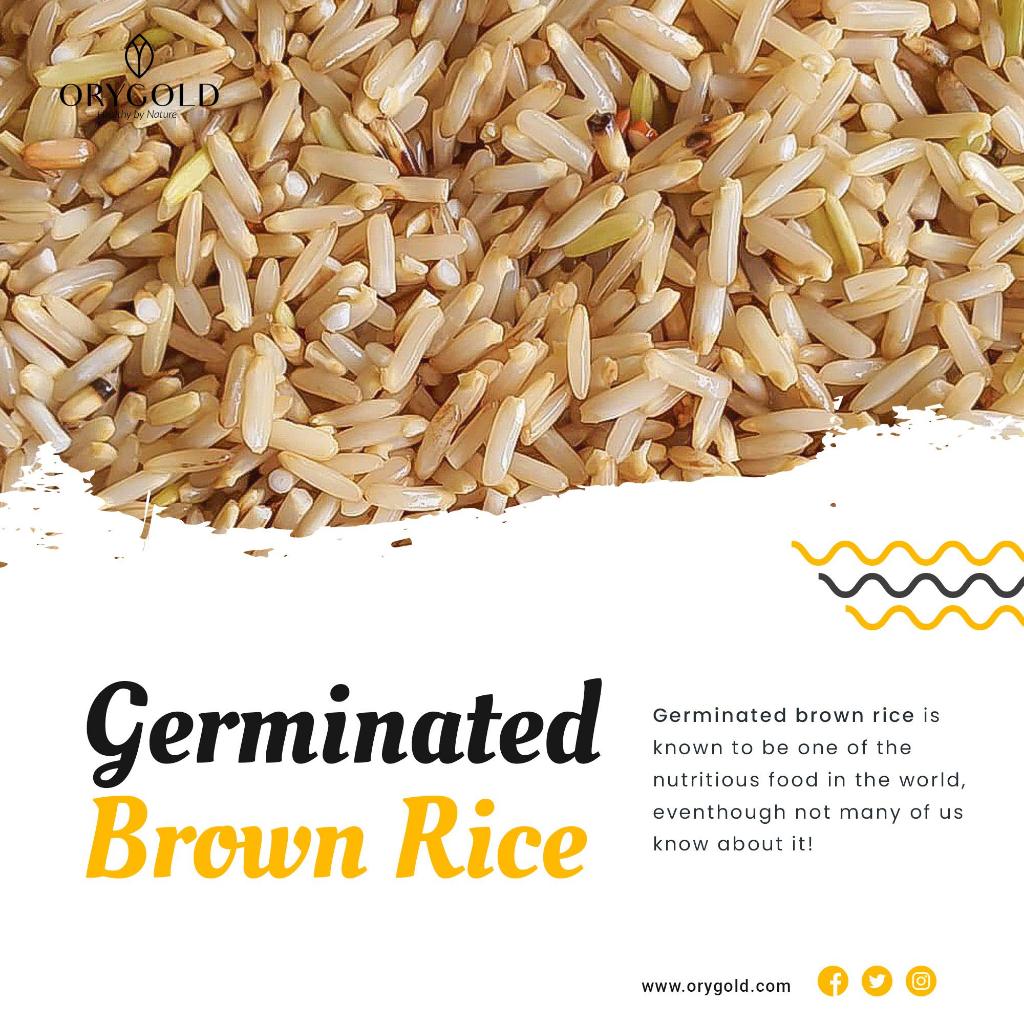 [ORYGOLD] Minuman Beras Perang Berkhasiat Turun Kolesterol Germinated Brown Rice
