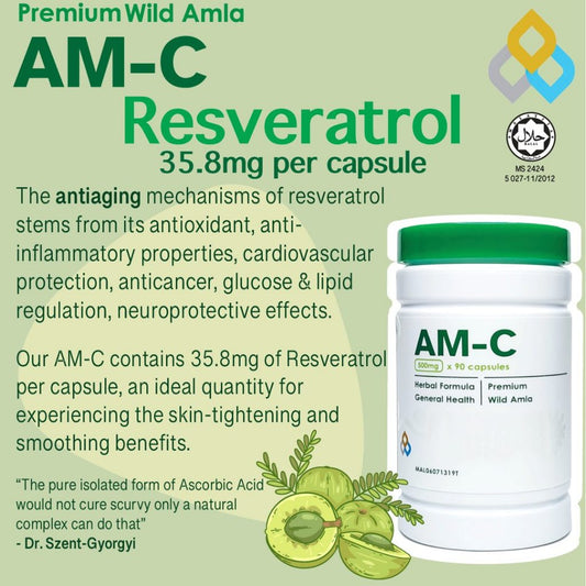 [THIALLAN] AM-C VINS AMC Premium Amla C Natural Rich with Vitamin C from Wild Amla 90 capsules