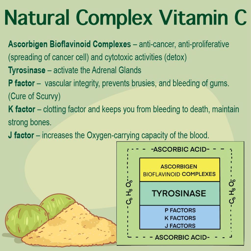 [THIALLAN] AM-C VINS AMC Premium Amla C Natural Rich with Vitamin C from Wild Amla 90 capsules