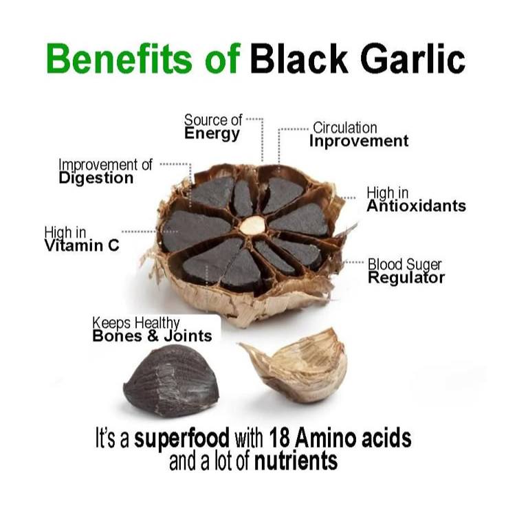 [NHF] - DR NORMAN Black Garlic Extract | Ekstrak Bawang Putih Hitam (60 Capsules)