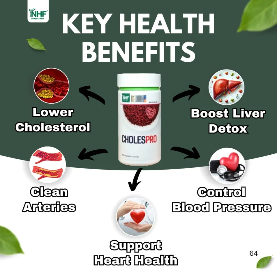 [NHF] - DR NORMAN Cholespro (505mg x 60 Capsules) Cholesterol Control Heart Health