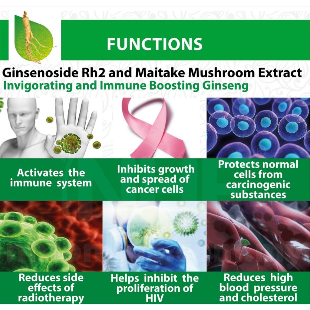 [NHF] - DR NORMAN Ginseng Plus Extract | Ekstrak Ginseng Plus 400mg (60 Kapsul) MAL16010034T