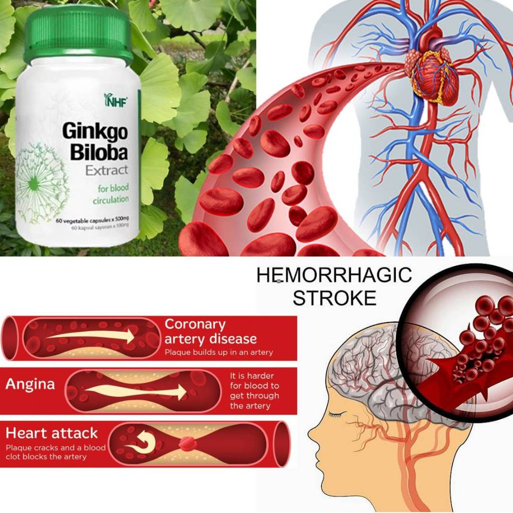 [NHF] - DR NORMAN Ginkgo Biloba Extract (60 Capsules)