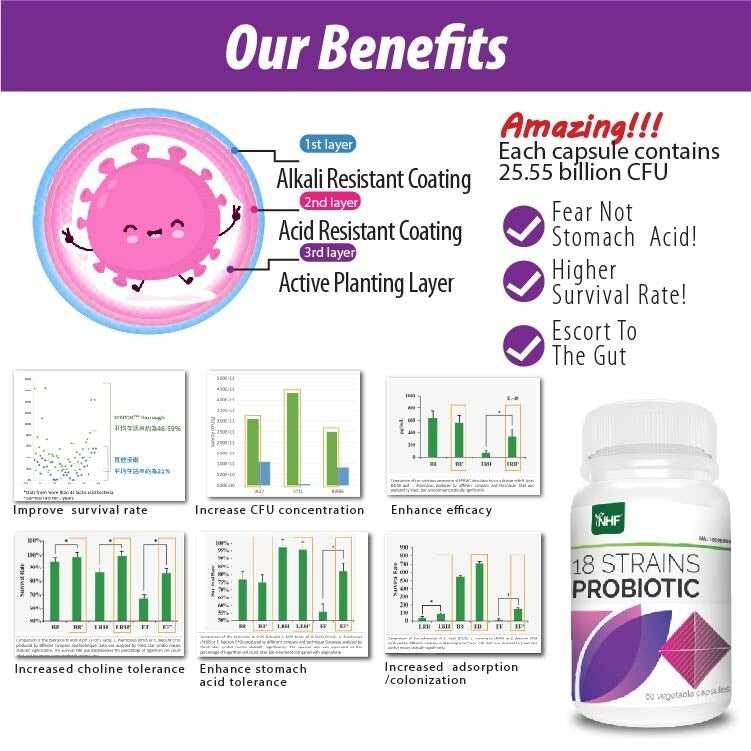 [NHF] - DR NORMAN 18 STRAINS PROBIOTICS | PROBIO18 60 Capsules  |  POWDER SACHET