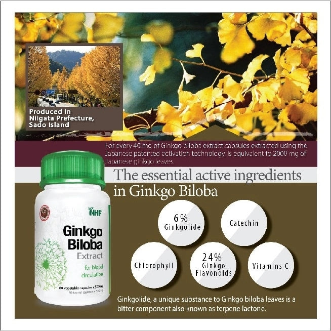 [NHF] - DR NORMAN Ginkgo Biloba Extract (60 Capsules)