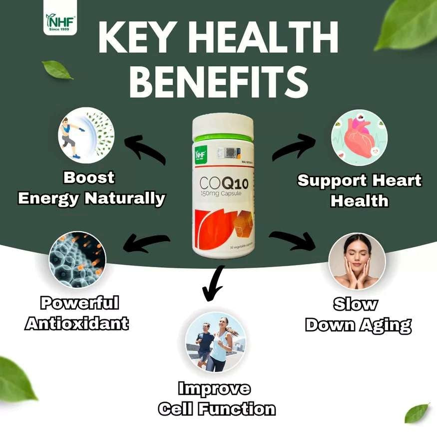 [NHF] - DR NORMAN Coenzyme Q10 (150mg x 30 Capsules)