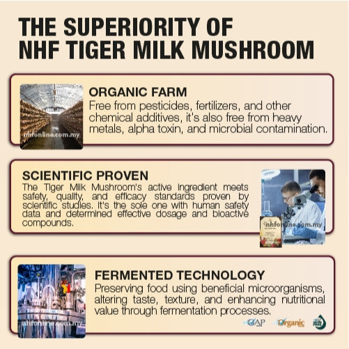 [NHF] - DR NORMAN TIGER  MILK MUSHROOM with ELDERBERRY for lung health