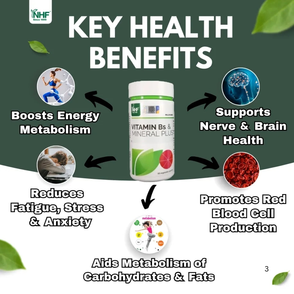 [NHF] - DR NORMAN Vitamin Bs & Mineral Plus 60 Capsules | Vitamin B Complex