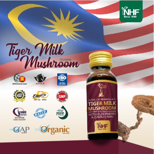 [NHF] - DR NORMAN TIGER  MILK MUSHROOM with ELDERBERRY for lung health