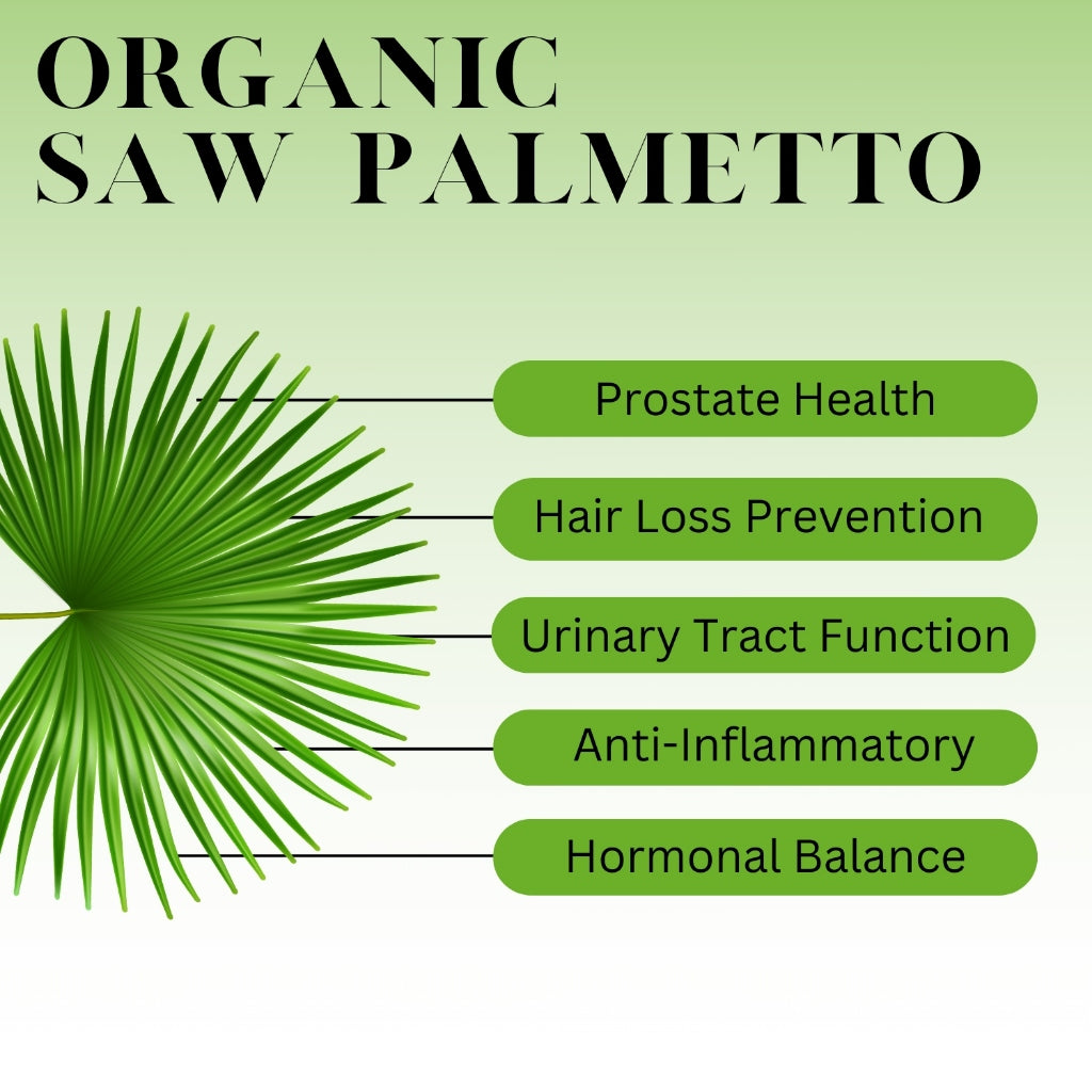 [NHF] - DR NORMAN Saw Palmetto Plus | Ekstrak Buah Saw Palmetto |(60 Capsules x 429mg)