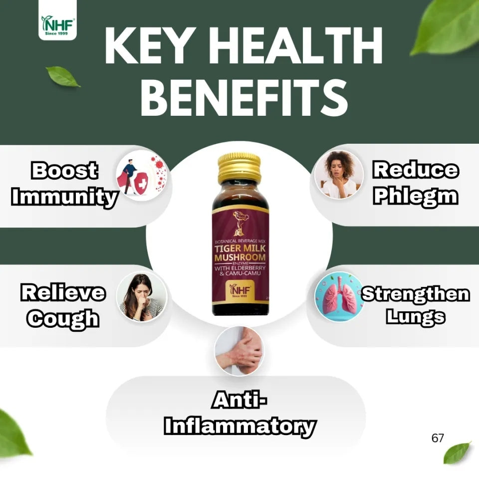 [NHF] - DR NORMAN TIGER  MILK MUSHROOM with ELDERBERRY for lung health