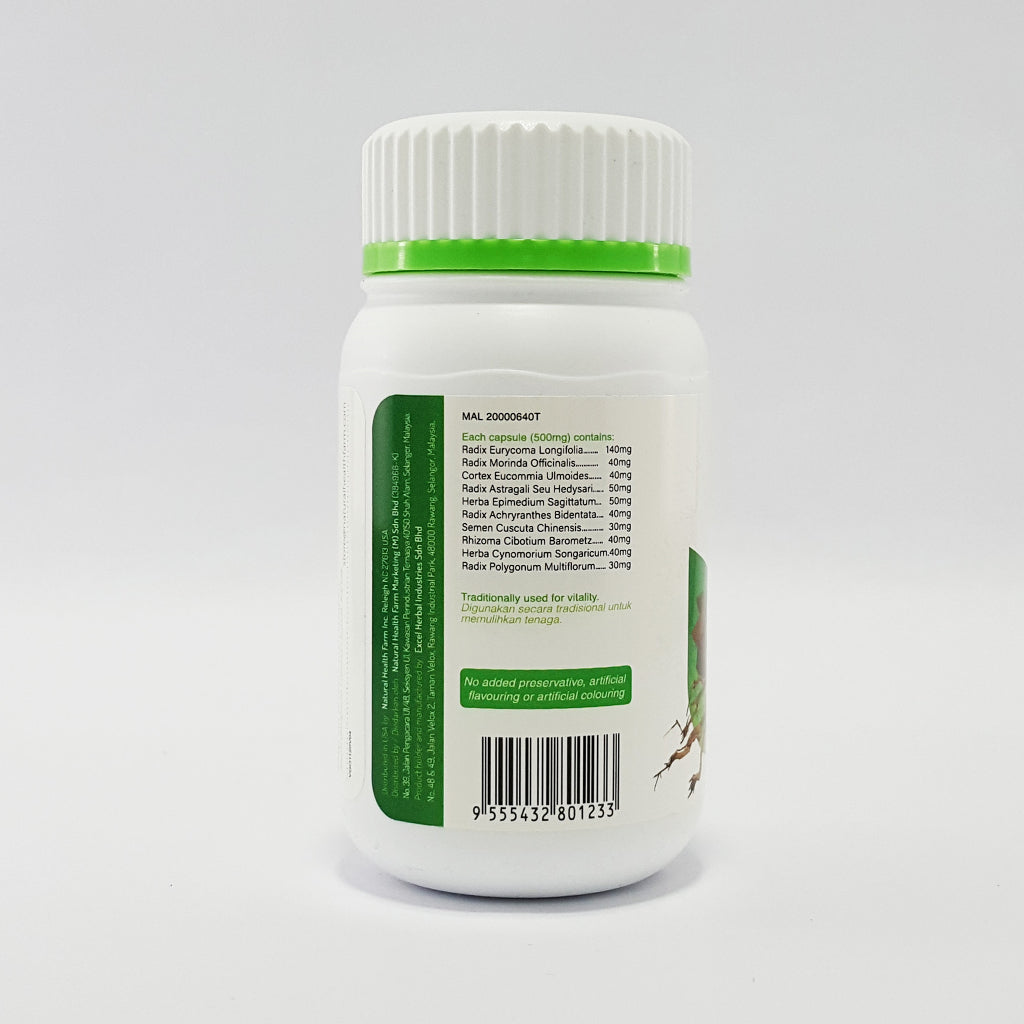 [NHF] - DR NORMAN KAPSUL V-GO Tongkat Ali 500mg x 60 Kapsul - MAL20000640T