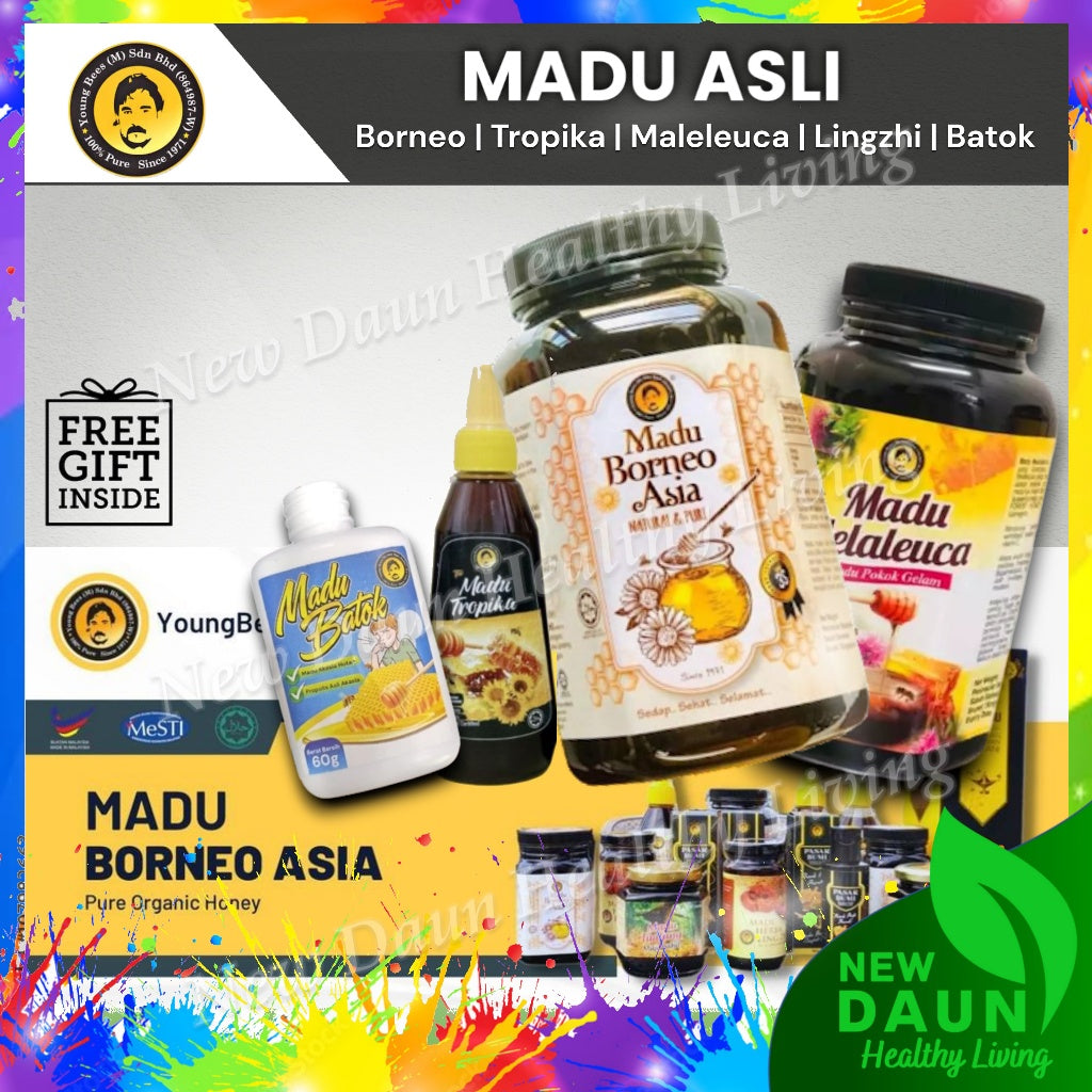 [YOUNG BEES] PREMIUM MADU BORNEO ASIA Pure Honey Madu Asli | Tropika | Tualang | Lingzhi | Batok