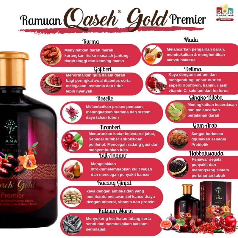 [QASEH GOLD] JUNIOR  ANA EDAR JUS JUNIOR ASLI | OREN | BRAINEE BYTES | EMUNKIDZ