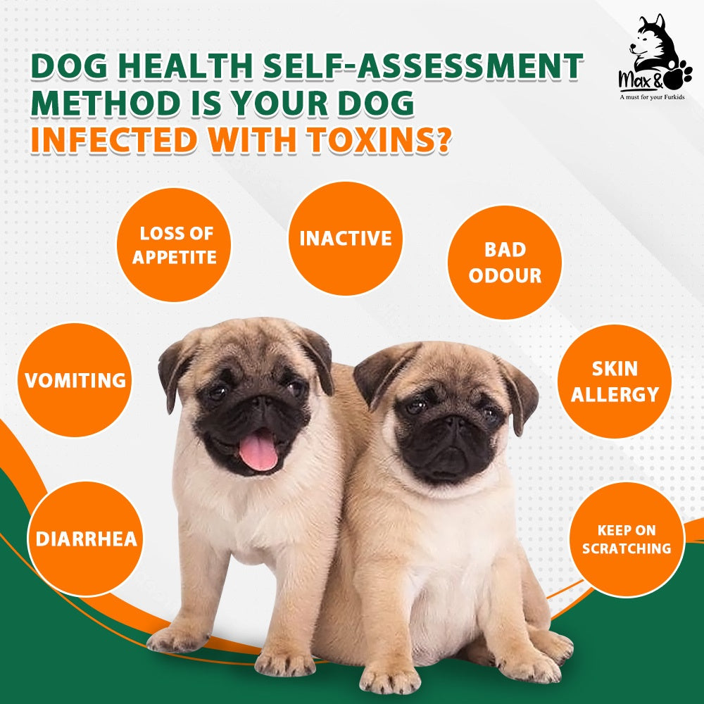 [MAX & PAW] PREBIOTIC & PROBIOTIC POWDER  All Natural Pet Supplement Multivitamin DOG & CAT