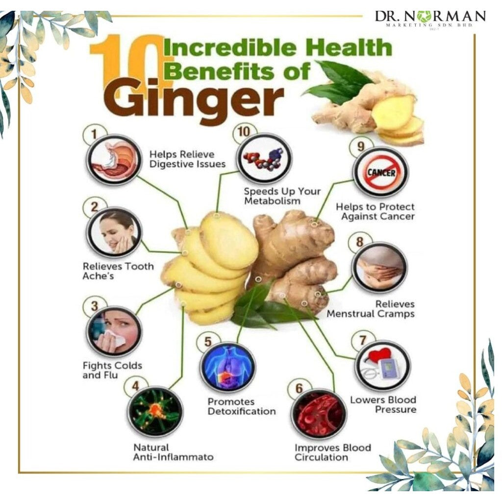 [DR NORMAN] SERBUK HALIA TULEN GINGER POWDER
