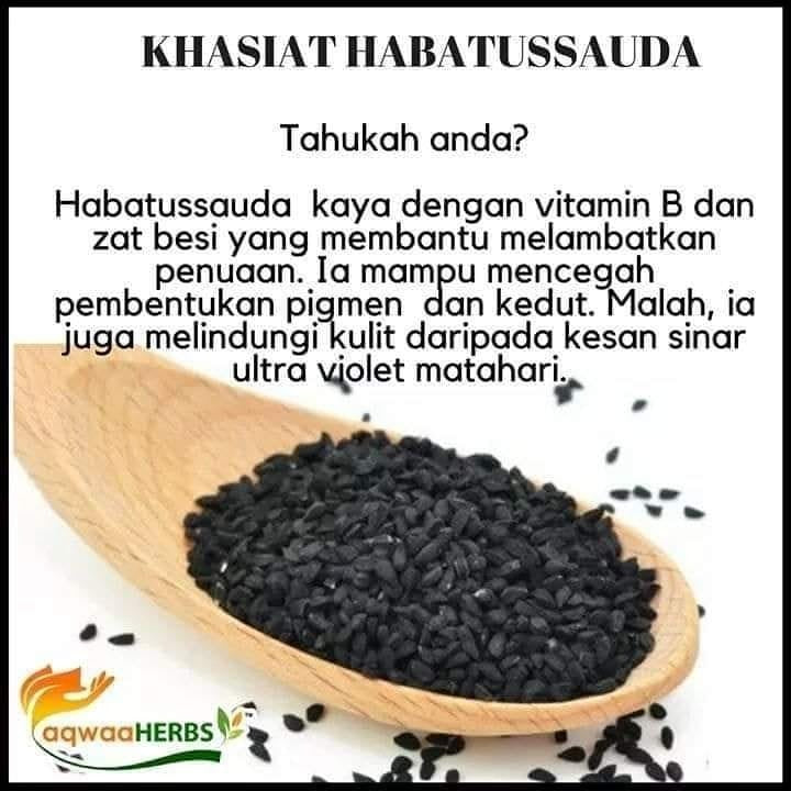 [YASALMA] [KADAH] SAUDA OLIVIE ALEPPO SOAP Sabun Minyak Zaitun Habbatussauda Syria Black Seed Soap by YASALMA