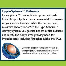 [LIVON LABS] Lypo-Spheric Liposomal Acetyl L-Carnitine ALCAR USA for brain and nerve support
