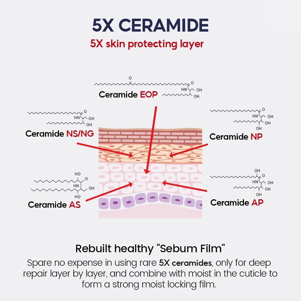 [VIBRANT GLAMOUR] 2% Niacinamide MOISTURIZER 5X Ceramide Skin Barrier Repair