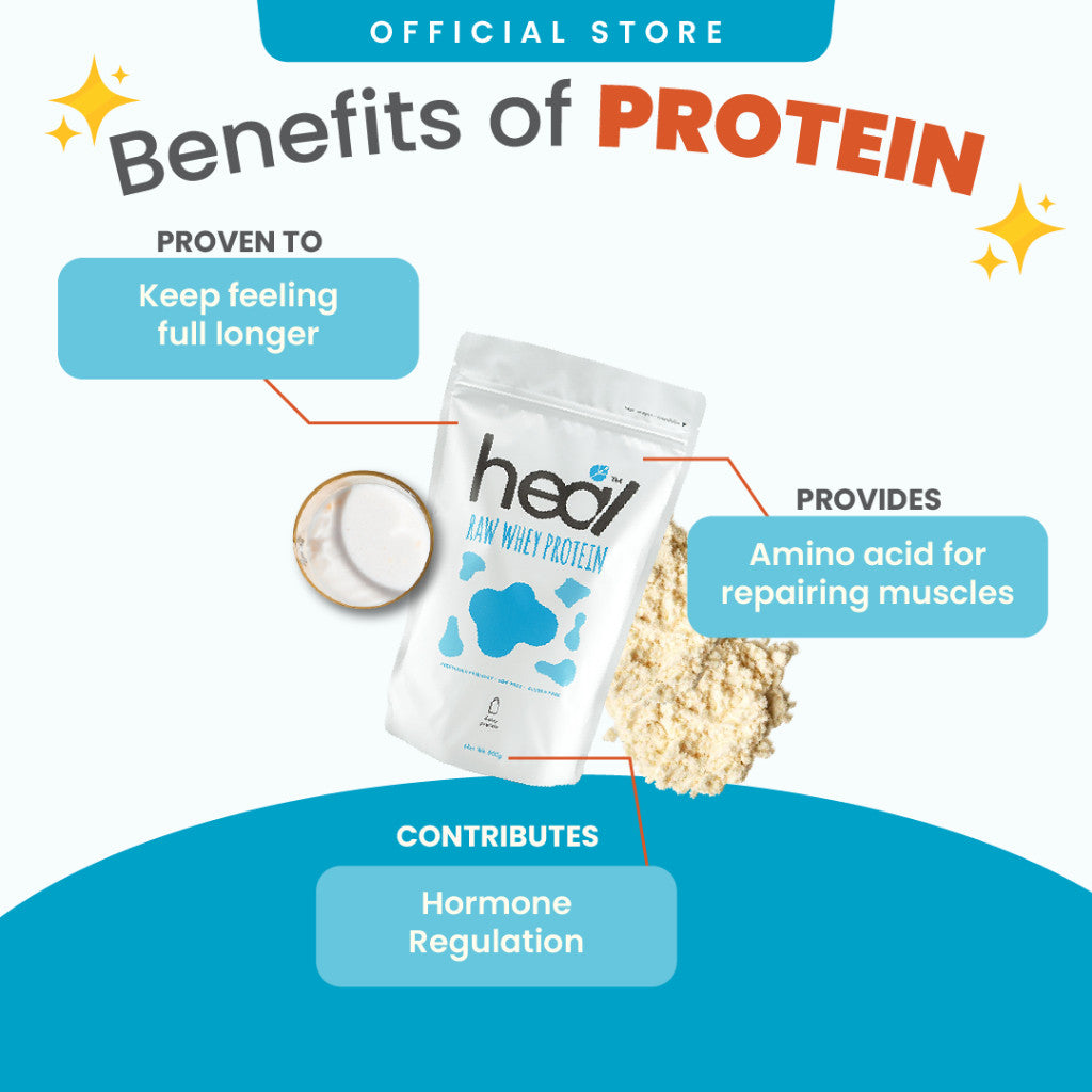 [HEAL] Raw Concentrate Unflavored Dairy Whey Protein Shake Suitable for Muscle Gain/Diet (15 Servings)