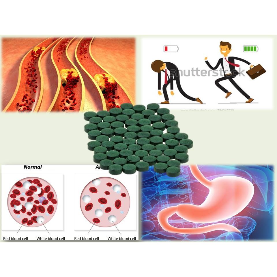 [NHF] - DR NORMAN Organic Spirulina (1000 Tablet x 200mg) MAL10043753TC