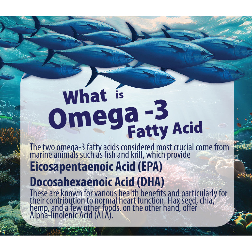[NHF] - DR NORMAN Supa Omega 3 Plus Garlic Oil (60 Softgels) | Supa Omega 3 Plus Minyak Bawang Putih