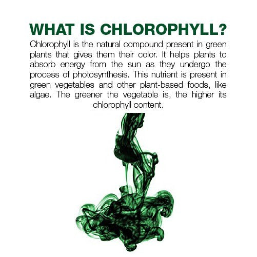 [NHF] - DR NORMAN Bio Chlorophyll (500ml) HALAL