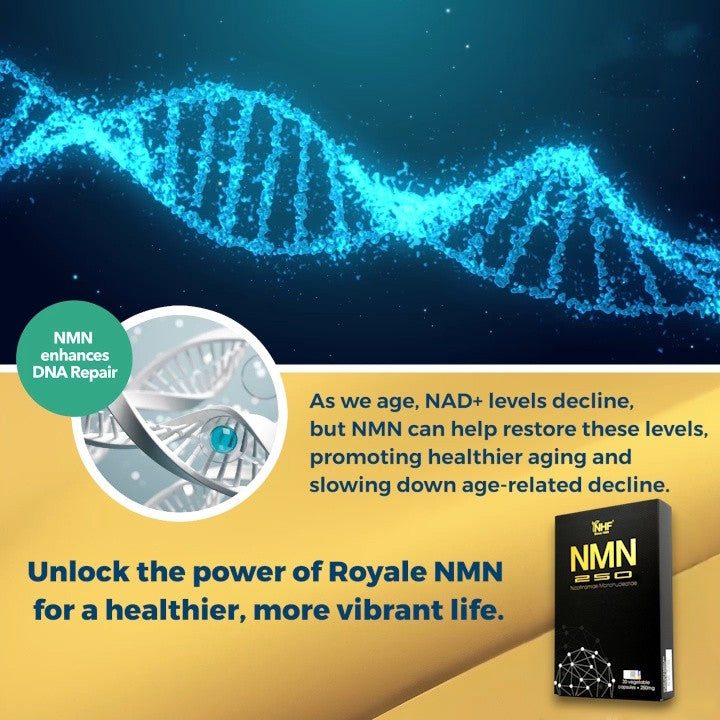 [NHF] - DR NORMAN NMN 400 Nicotinamide Mononucleotide (NMN) (400mg x 30 Capsules)