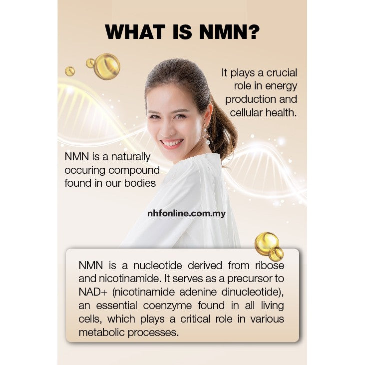 [NHF] - DR NORMAN NMN 400 Nicotinamide Mononucleotide (NMN) (400mg x 30 Capsules)